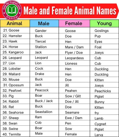 Gender Of Animals, Female Pet Names, Male Kangaroo, Kangaroo Jack, Male And Female Animals, Kids Learning Charts, Animals Name List, Homework Board, Name Of Vegetables