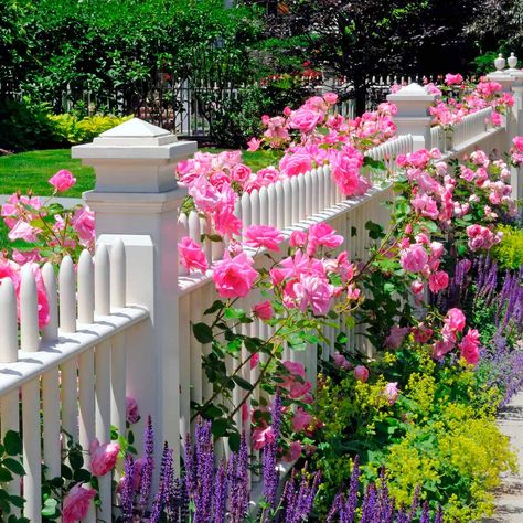 10 Favorite Flower Bed Ideas for the Front of Your House  ||  Are you looking for front of house flower bed ideas? Then look no further! These 10 top ideas will give your home instant curb appeal. https://www.familyhandyman.com/garden/flower-bed-ideas-front-of-house/ Gard Modern, Pagar Modern, Picket Fence Garden, Picket Fences, White Fence, Fence Garden, Yard Fence, Front Yard Fence, Fencing Ideas