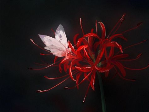 Red Spider Lily, Spider Lily, Red Spider, Red Flower, In The Dark, I Hope, Lily, Red, Anime