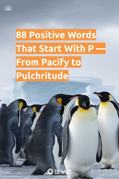 "88 Positive Words That Start With P — From Pacify to Pulchritude"- Push for a comprehensive vocabulary with our Positive Words That Start With P! Our list showcases words that symbolize positivity and potential. Promoting these terms in conversations personalizes your language skills while creating a more peaceful environment. So, plunge into our word pool and personify... #trvst #inspiration #mind&body #environment #positivity #conservation #changemakers #wildlifeplanet #takeaction #planet List Of Positive Words, Letter A Words, Positive Adjectives, P Words, Peaceful Environment, Letter P, Positive Outlook, Language Skills, Motivational Words