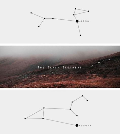 Sirius Black Inspired Tattoo, Mauraders Tattoo Ideas, Regulus Black Tattoo Ideas, Sirius Black Tattoo Ideas, Jegulus Tattoo, Regulus Sirius, Sirius Tattoo, Sirius Constellation, Sirius Regulus