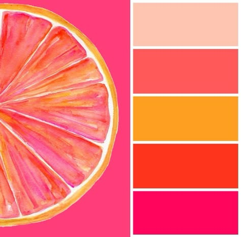 Pink And Tangerine Color Palette, Orange And Pink Color Scheme, Hot Pink Pallette, Grapefruit Color Palette, Pink Orange Color Palette, Fruit Color Palette, Citrus Color Palette, Couleur Feng Shui, Wall Pantry Ideas