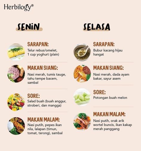 Delicious and  to Start Your Day#makananrendahgula #makananrendahsodium #dietsehat #makanansehat #makananrendahkolesteroltinggi #dietsehatdanenak #dietsehatdanmurah #dietsehatdanlebihcantik Defisit Kalori Plan, Jadwal Makan Diet, Diet Meal Plan Indonesia, Pola Makan Diet Sehat, Menu Diet Defisit Kalori Seminggu, Tips Diet Sehat, Bekal Diet, Menu Sehat, Makanan Rendah Kalori