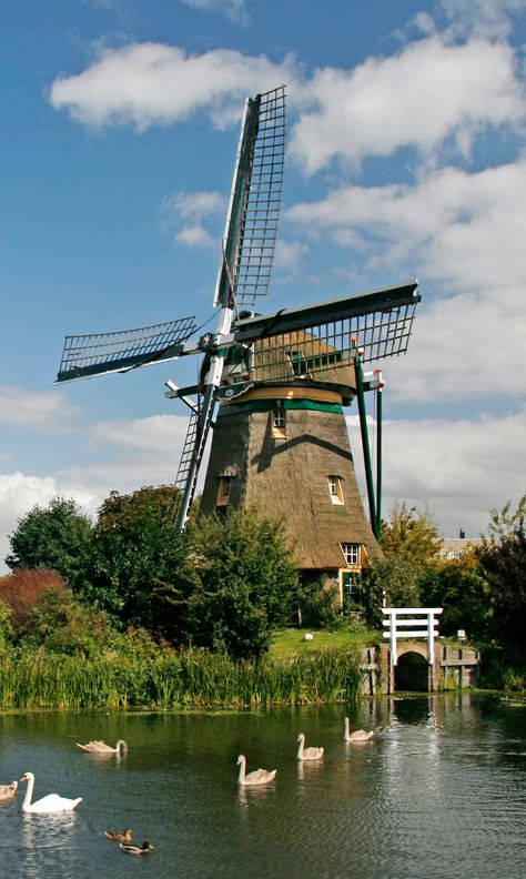 The Netherlands Dutch Windmill Painting, Windmill Aesthetic, Windmill Netherlands, Dutch Aesthetic, Windmill Images, Netherlands Windmills, Buildings Reference, 1000 Hours Outside, Windmill Photos