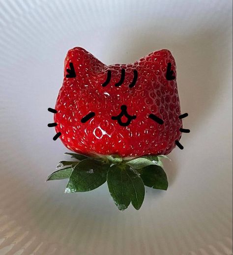 Welcome To My Channel, Discord Server, Cute Food, Cute Stuff, Strawberries, A Cat, Cute Things, Hello Kitty, Kitty