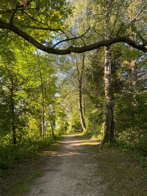 Out In Nature Aesthetic, Walk In Forest Aesthetic, Walk In The Forest Aesthetic, Walking Pics Aesthetic, Walking Nature Aesthetic, Outdoor Aesthetic Walk, Walking Aesthetic Summer, Walk In The Woods Aesthetic, Forest Walks Aesthetic