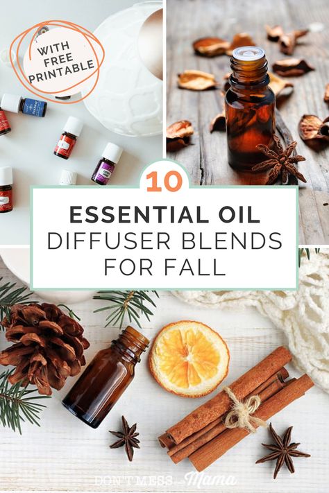 Want to get your home all cosey for fall? You need these fall essential oil blends. With these 10 fall diffuser blends your home will smell incredible and leave you feeling calm and cosey. Diy Fall Essential Oil Blends, Fall Smells Essential Oils, Essential Oil Recipes Diffuser Fall, Essential Oil Mixes For Fall, Best Essential Oil Diffuser Blends, Fall Defuser Sents, Fall Scent Diffuser Blends, Best Fall Essential Oil Blends, Diy Fall Essential Oil Recipes