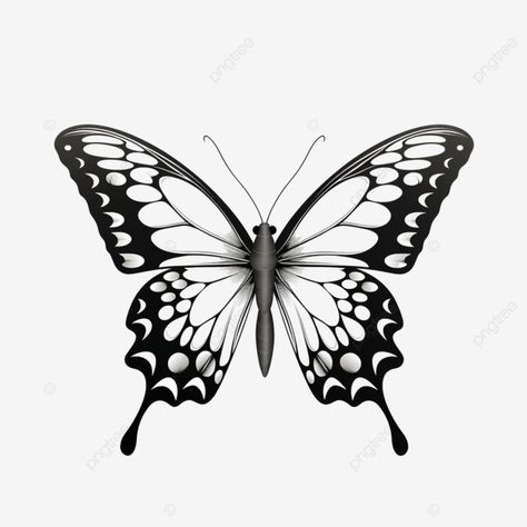 butterfly vector format in black and white ai generative abstract animal art png Butterfly Png Black, Butterfly Illustration Design, Abc Clipart, Weather Background, Butterfly Vector Illustration, Happy Birthday Clipart, Clipart Aesthetic, Vector Butterfly, Flowers Happy Birthday