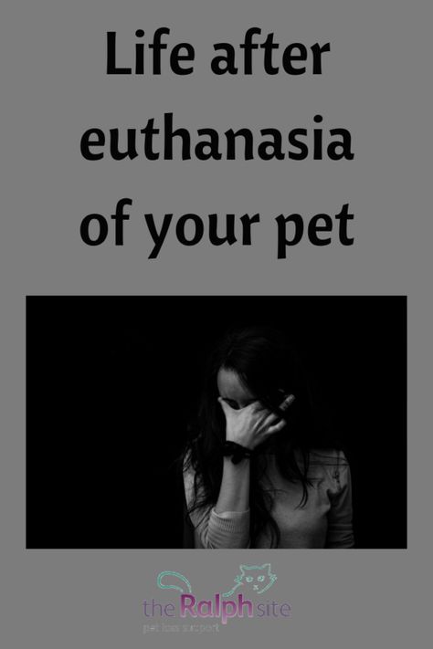 Euthanasia Quotes Animals, Missing My Dog Pet Loss, Loosing Your Pet Quotes, Pet Euthanasia Quotes, Quotes About Loosing Your Dog, Grieve Loss Of Pet, Griefing Your Pet Quotes, Dog Bereavement Quotes, Pet Grievance Quotes