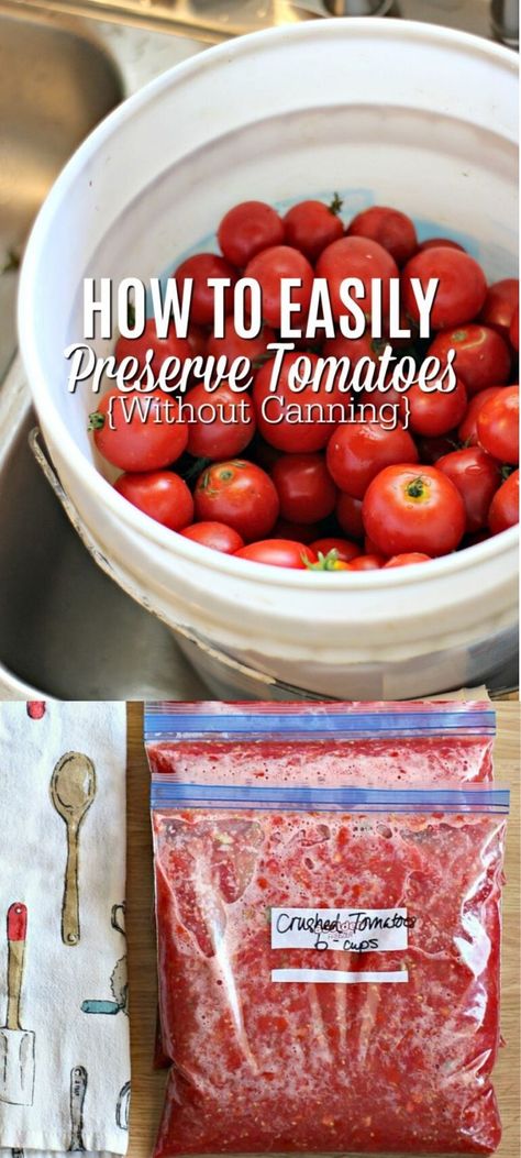 Foods For Easter, Soup Recipes Tomato, Freezing Cherry Tomatoes, How To Freeze Tomatoes, Preserve Tomatoes, Tomato Sauce Pasta, Freezing Tomatoes, Preserving Tomatoes, Preserving Vegetables