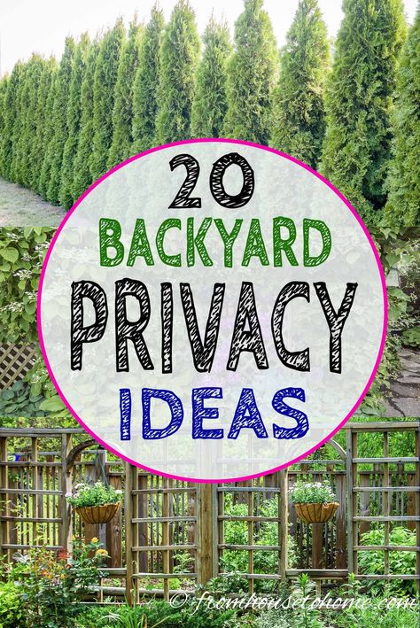 These backyard privacy ideas create a privacy screen for your garden that will keep the neighbors from looking in. Include them in the garden design for your landscaping to create a yard you'll want to spend time in. #fromhousetohome #gardenprivacy #gardendesign #gardenstructures #gardens Backyard Privacy Ideas, Backyard Privacy Screen, Privacy Trellis, Yard Privacy, Privacy Ideas, Bamboo Privacy, Privacy Trees, Privacy Plants, Privacy Landscaping