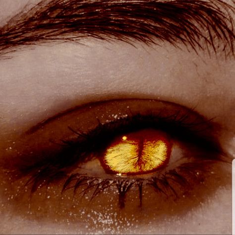 Edit of another pic on pinterest couldn't find any good slot eyes on here Reptile Eyes Human, Dragon Eye Aesthetic, Wings Over Eyes, Dragon Eyes Aesthetic, Yellow Eye Aesthetic, Scourge Aasimar Aesthetic, Gold Eyes Aesthetic, Golden Eyes Aesthetic, Golden Eyes Art