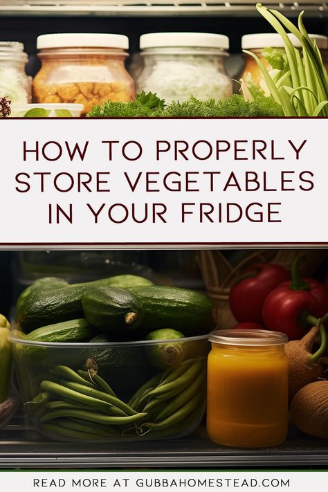 How to Properly Store Vegetables in Your Fridge Best Ways To Store Produce, Fridge Veggies Organization, How To Store Fresh Vegetables, How To Storage Vegetables In The Fridge, Best Way To Store Veggies In Fridge, Vegetable Fridge Storage, Vegetable Prep Food Storage, Storing Fresh Vegetables In Mason Jars, How To Organize Vegetables In Fridge