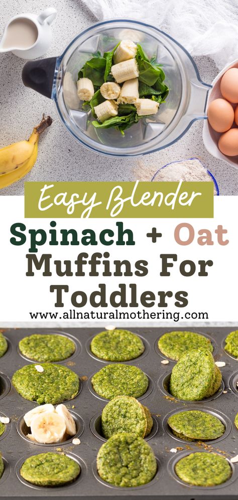 Toddler Blw Recipes, Spinach Oat Muffins, Sneak In Veggies For Kids, Green Muffins Kids, Ways To Get Toddlers To Eat Veggies, Blw Spinach Muffins, Food Processor Recipes Toddler, Breakfast Ideas For 18month Old, Baby Tots Recipe