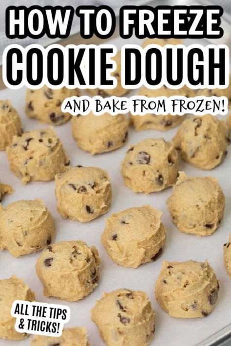 Cookies To Freeze, Freezable Cookie Dough, Freezing Cookie Dough, Freezer Cookie Dough, Freeze Cookies, Freeze Cookie Dough, Freezable Cookies, Christmas Cookie Dough, Freezer Cookies