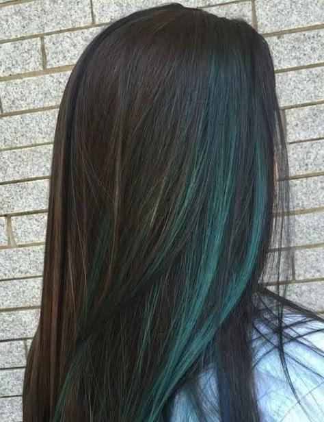 Dark Hair With Dark Green Highlights, Brown Hair With Dark Green Highlights, Black And Teal Hair Peekaboo, Dark Green Hair Highlights Brunettes, Black Hair With Dark Green Highlights, Brunette With Green Highlights, Dark Green Highlights In Black Hair, Teal Streaks In Black Hair, Black Hair Green Streaks