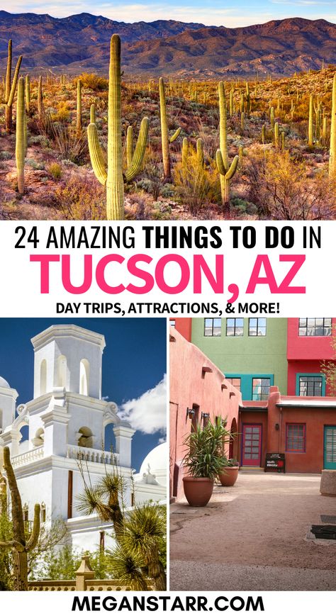 Discover the top things to do in Tucson! 🌵 Visit the iconic Arizona-Sonora Desert Museum, hike the trails of Saguaro National Park, or explore the vibrant Fourth Avenue for shopping and dining. Tucson is a desert gem with endless adventures! 🏜️ Click to see my Tucson travel guide (for first-timers!). Tuscon Arizona Outfits, Things To Do In Tucson Arizona, Things To Do In Tucson Az, Tuscon Arizona Things To Do, Tucson Arizona Things To Do, Tucson Arizona Aesthetic, Oatman Az, Tucson Arizona Restaurants, Best Hikes Near Tucson