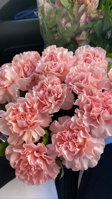 Boquette Flowers, Pink Carnations, Carnation Flower, Nothing But Flowers, Flower Therapy, Flowers For You, Beautiful Bouquet Of Flowers, Flowers Pink, Beautiful Flowers Pictures