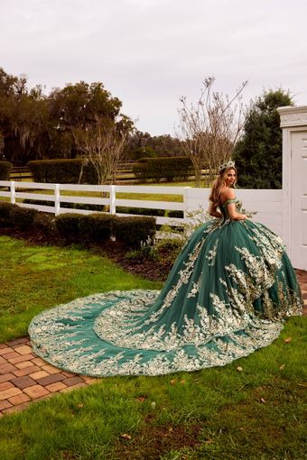 Sophia Thomas | Minerva’s Bridal - Q178 | Minerva’s Bridal Orlando Birthday Gowns, Green Quinceanera, Gown Birthday, Ball Gown Quinceanera Dresses, Green Ball Gown, Green Quinceanera Dresses, Quinceanera Dresses Gold, Sweet 15 Dresses, Quinceanera Dress