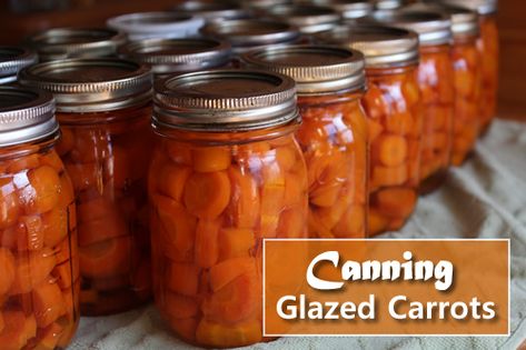 Bottled Carrots Recipe, Jarred Carrots, Canning Glazed Carrots, Canning Candied Carrots, Canning Carrots Pressure, Carrot Canning Recipes, Carrots Canning Recipes, Canned Carrot Recipes, Canning Carrots Recipes