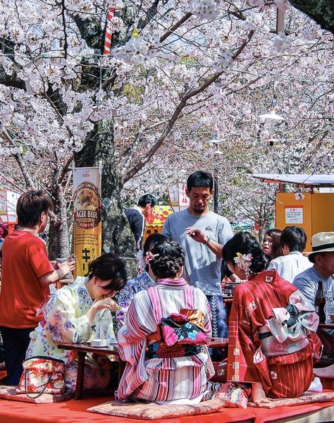 In the park enjoying the cherry blossoms Hanami Japan, Japanese Summer Festival, Company Headquarters, Fashion Presentation, Photography Japan, Japan Core, Japanese Summer, Japanese Traditional Clothing, College Search