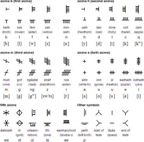 The Ogham alphabet Welsh Alphabet, Ogham Tattoo, Irish Ogham, Numerals Numbers, Ancient Alphabet, Celtic Ogham, Tree Meanings, Lou Dog, Celtic Alphabet