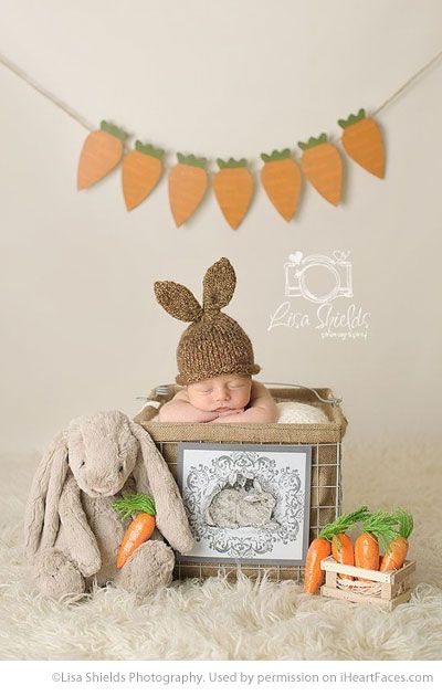 Baby Easter Pictures, Easter Photo Ideas, Carrot Garland, Easter Photo Shoot, Easter Shoot, Easter Mini Sessions, Easter Baby Photos, Newborn Easter, Easter Bunting