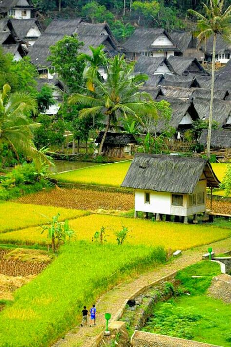 Indonesia Tourism, Bali Lombok, Rice Field, Village Photography, Rice Fields, Vernacular Architecture, West Java, Beautiful Villages, Alam Yang Indah