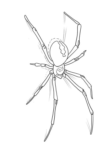 Spider Outline Drawing, Black Widow Tattoo Stencil, Spider Stencil Tattoo, Spider Tattoo Outline, Spider Outline Tattoo, Spiderweb Tattoo Design, Black Widow Spider Drawing, Spider Drawing Sketches, Spider Tattoo Stencil