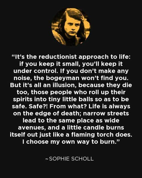 Sophie Scholl Poetic Phrases, Sophie Scholl, Feminism Art, Interesting Thoughts, Word Nerd, Literature Quotes, Philosophy Quotes, Quotable Quotes, What Is Life About