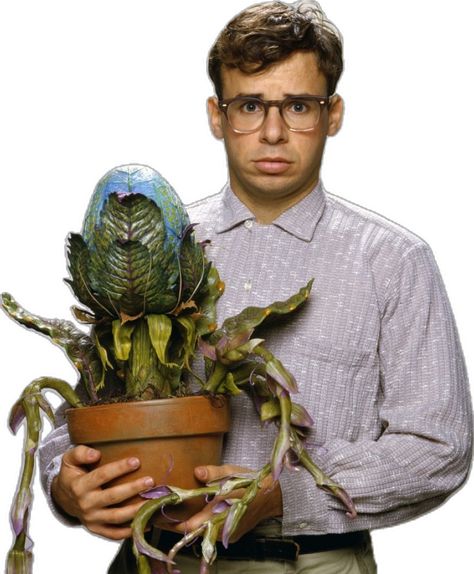 Seymour Krelborn, Lil Shop Of Horrors, Little Shop Of Horrors Costume, Suddenly Seymour, Audrey 2, Rick Moranis, Audrey Ii, Dream Roles, Michael Cera