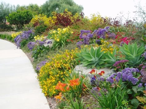 Drought Tolerant Landscape Design, Drought Tolerant Landscape Front Yard, Flower Garden Plans, Succulent Landscape Design, Drought Tolerant Garden, Backyard Garden Layout, Succulent Garden Design, Succulent Landscaping, Drought Tolerant Landscape