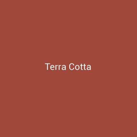 Terra Cotta Aesthetic, Bridger Steel, Terra Cotta Paint Color, Terracotta Color Palette, Terracotta Paint, Terra Cotta Color, Living Room Wall Color, Porch Colors, Bedroom Colour Palette