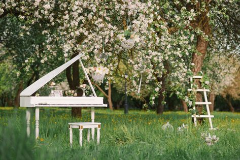 Piano In Garden, Always The Victim, Apple Tree Garden, White Grand Piano, Apple Tree Blossoms, Brown Wedding Invitations, White Staircase, White Piano, Campaign Shoot