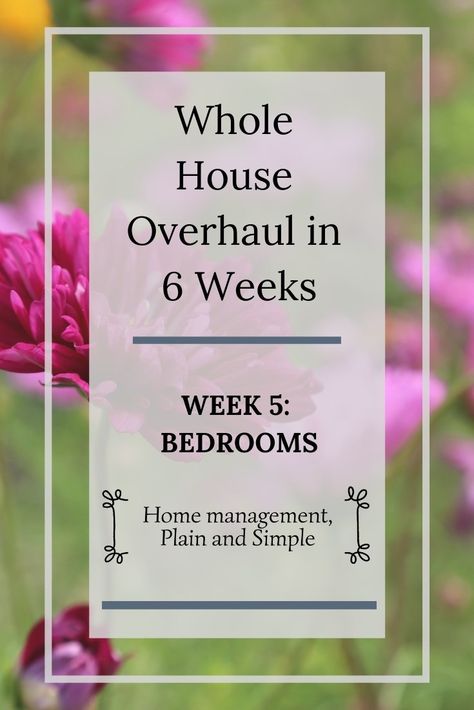 Whole House Overhaul in 6 Weeks: Week 5 - Home Plain and Simple // Home management help for your unique situation. Weekly Cleaning Schedule, Weekly Cleaning, Simplifying Life, Home Management, Organization Planning, Week 5, Simple Home, Chore Chart, Cleaning Schedule