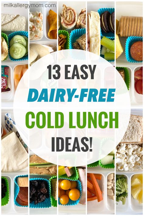 collage of cold dairy-free bento lunch box meals for kids and adults, easy and simple Dairy Free Lunch Ideas For Kids, Easy Dairy Free Lunch Ideas For Work, Dairy Free Bento Box Ideas, Dairy Free School Lunches, Dairy Free Lunches For Work, Cheese Free Lunch Ideas, Dairy Free School Lunch Ideas For Kids, Dairy Free Easy Lunch Ideas, Dairy Free Lunchbox Ideas