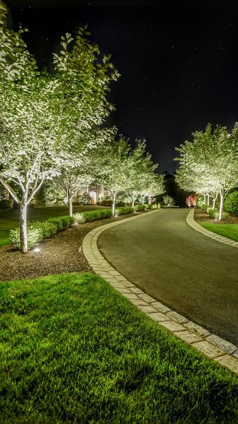 Driveway With Tree In Middle, Landscaping Ideas For Acreage, Long Driveway Edging Ideas, Driveway Across Front Of House, Lights Driveway Entrance, Lights Down Driveway, Hill Driveway Landscaping, Drive Up Driveway House, Driveway Landscaping Trees