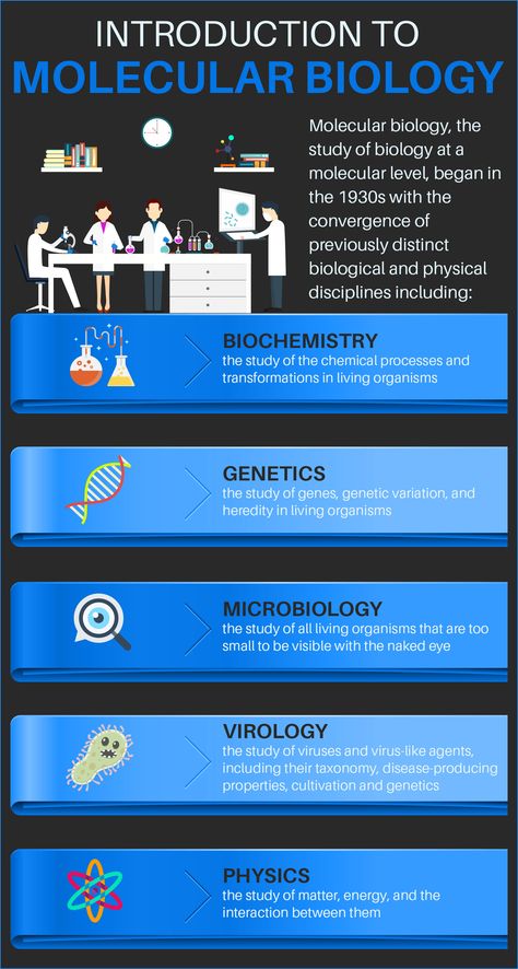 Molecular Cell Biology, Molecular Biology Aesthetic, Molecular Biology Art, What Is Biology, Cell And Molecular Biology, Lab Aesthetic, Genetic Modification, Synthetic Biology, Doctor Life