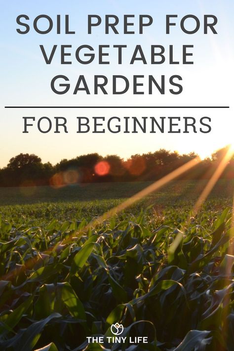 Preparing Garden Soil For Planting, Prepping Soil For Vegetable Garden, Gardening Soil Preparation, How To Prep Soil For Vegetable Garden, Preparing Soil For Vegetable Garden, Soil Prep For Vegetable Garden, Prepping Garden For Spring, How To Prepare Soil For Vegetable Garden, How To Set Up A Garden