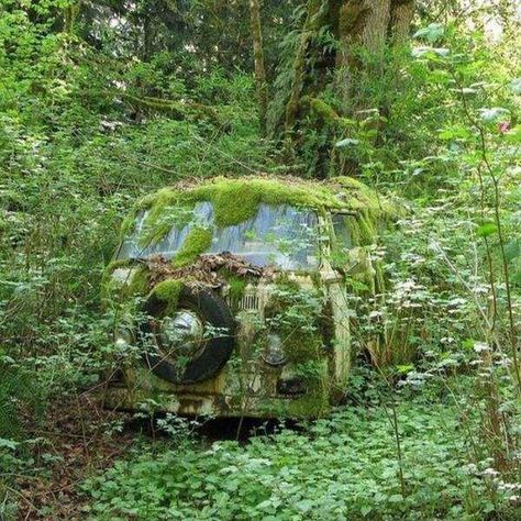 40 Hauntingly Beautiful Abandoned Places And Forgotten Things - Feels Gallery Abandoned Vehicles, Forgotten Places, Moss Garden, Lost In Time, Abandoned House, Abandoned Cars, Abandoned Buildings, Alam Yang Indah, Barn Finds