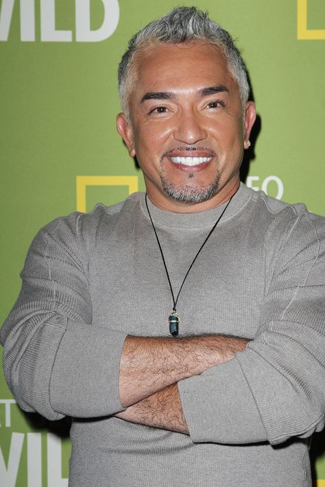 Cesar Millan will host a new series about endangered animals called The Messenger. What do you think? Will you watch? Dog Whisperer Cesar Millan, Romantic Advice, Sherri Shepherd, Barbara Walters, Cesar Millan, Jenny Mccarthy, Rick Springfield, Dog Whisperer, Whoopi Goldberg