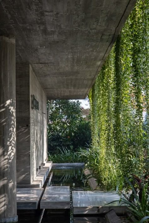 Tropical Brutalism Architecture, Eco Brutalism Architecture, Biophilic Brutalism, Meditation Office, Tropical Brutalism, Eco Brutalism, Brutalism Interior, Brutalist House, Jungle Design