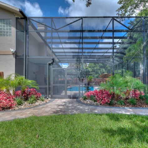 Landscape Around Screened In Pool, Pool Enclosure Landscaping, Florida Pools With Cages Backyard, Landscaping Around Pool Screen Enclosure, Pool Cage Ideas, Screened In Pool Patio Decorating Ideas, Pool Cage Privacy Ideas, Florida Landscaping Around Pool Cage, Pool Lanai Decorating Ideas