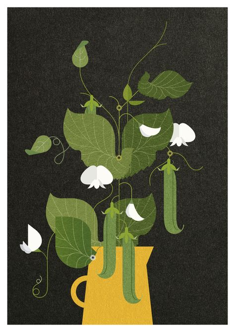 Pea Plant Illustration, Plant Graphic Illustration, Illustration Art Plants, Sweet Pea Illustration, Peas Illustration, Sprout Illustration, Pea Illustration, Seeds Illustration, Bean Illustration