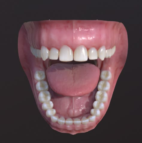 Scary Mouth, Scary Teeth, Monster Teeth, Teeth Reference, Carnivore Teeth, Unity Image, Teeth Diagram, Skin Mapping, Teeth Aesthetic