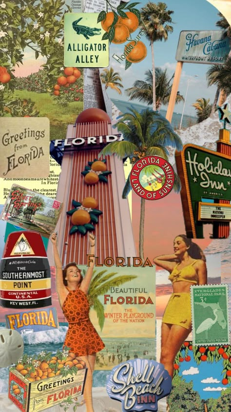 Old Florida #travel #retro #50s #florida #fl #orlando #miami #citrus #vacation 1950s Palm Springs, Old Florida Decor, Wedding Merch, Bach Themes, Scrapbook Wallpaper, Miami Wallpaper, Miami Print, Retro Florida, Florida Vibes