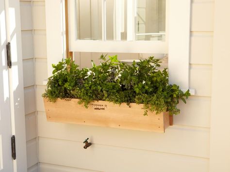 14 Simply Stunning Summer Window Boxes | HGTV Box Herb Garden, Modern Historic Home, Herb Window Box, Window Box Herb Garden, Herb Garden Window, Spring Planter Ideas, Herb Window, Bay Window Exterior, Window Herb Garden