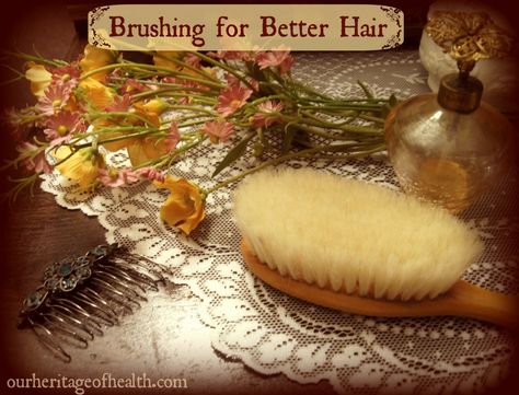 Old-Fashioned Hair Care Tips: Brushing for Better, Healthier Hair Boar Bristle Brush Benefits, Old Fashioned Hairstyles, Brushing Hair, Best Hair Brush, Natural Bristle Brush, Boar Bristle Brush, Hair Care Growth, Dry Body Brushing, Hair Care Brands