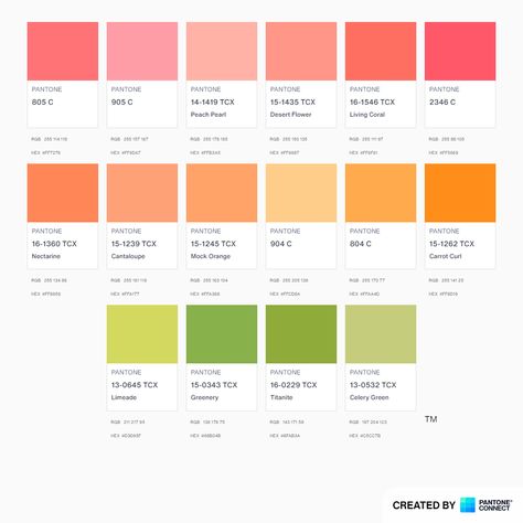 Coral Yellow Green Color Palette, Pink Green Blue Orange Aesthetic, Green And Coral Kitchen, Peach Colour Pallet, Peach And Green Palette, Coral And Pink Color Palette, Pink And Tangerine Color Palette, Red Orange Yellow Pink Color Schemes, Orange Pink And Green Aesthetic