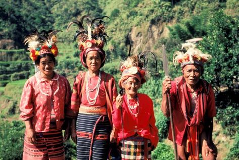 Ifugao women show their traditional costumes as they stand among rice terraces built by their ancestors and maintained by&nbs Ifugao Costume, Film Black Panther, Dora Milaje, Neck Rings, Fierce Women, Fashion Reference, Asian Inspiration, Native Style, African Heritage